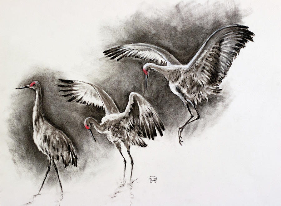 Sandhill Cranes Painting by Rebecca Davis