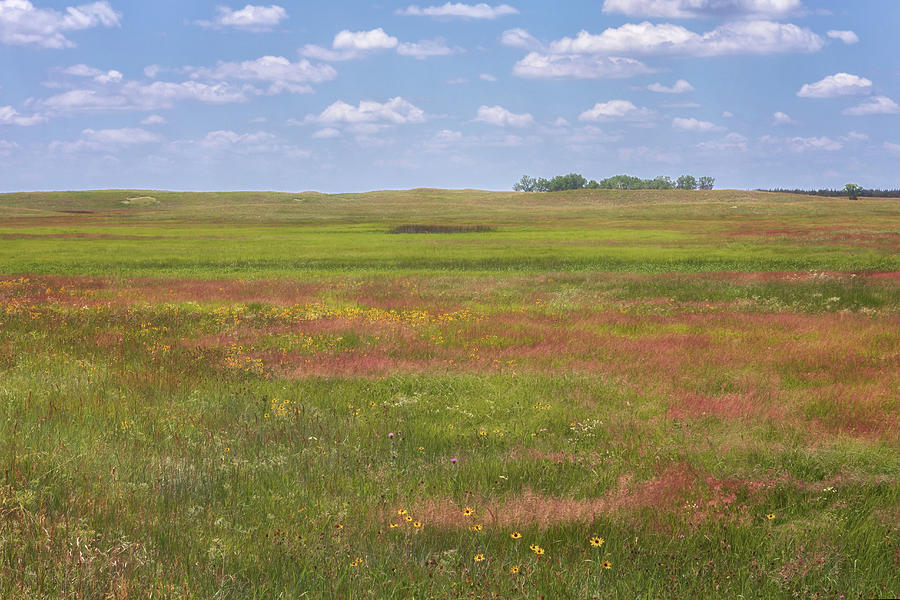 Sandhills Grasslands - Nebraska Sandhills Photograph by Susan Rissi Tregoning