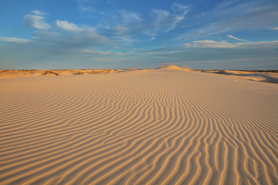 Sandhills Sand Dunes in Monahans 312-1 Photograph by Rob Greebon | Fine ...