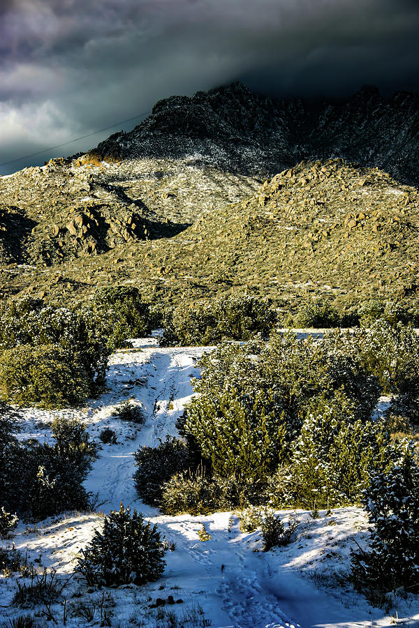 Sandia Mountains New Mexico Photograph by Tommy Farnsworth