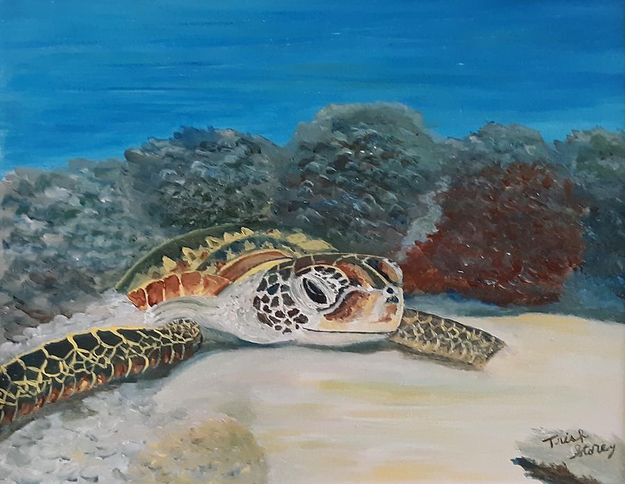 Sandie the Turtle Painting by Trish Storey | Fine Art America