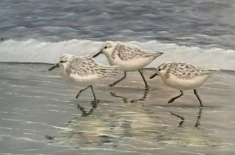 Sandpiper Art Painting By Joseph Cantin - Fine Art America