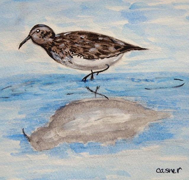 Sandpiper Painting by Colleen Casner