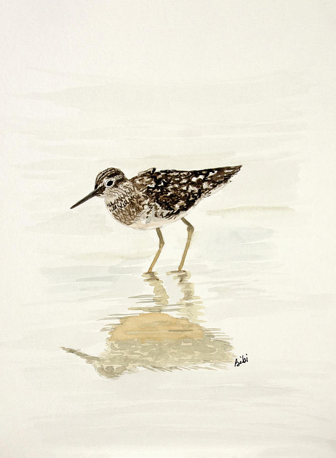 Sandpiper Reflections Painting by Bibi Gromling