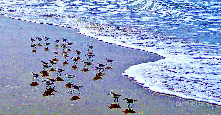 Sandpipers Photograph by Jerome Stumphauzer