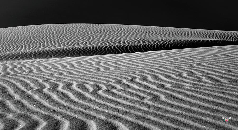 Sands of Time Photograph by Pam Rendall
