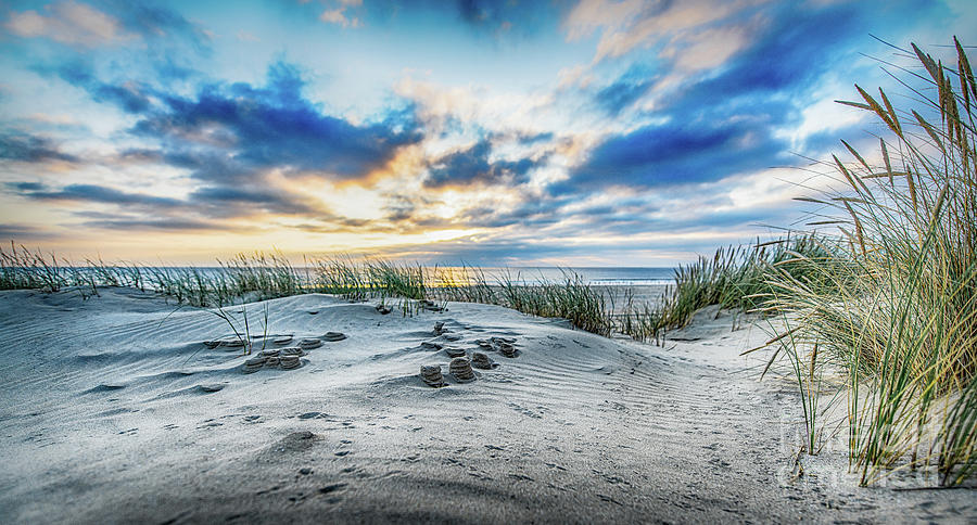 Sandshapes on the beach Photograph by Alex Hiemstra - Fine Art America