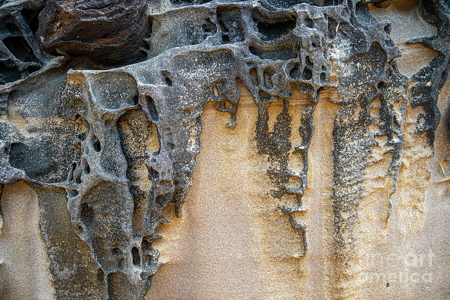Sandstone Detail SYD01 Photograph by Werner Padarin