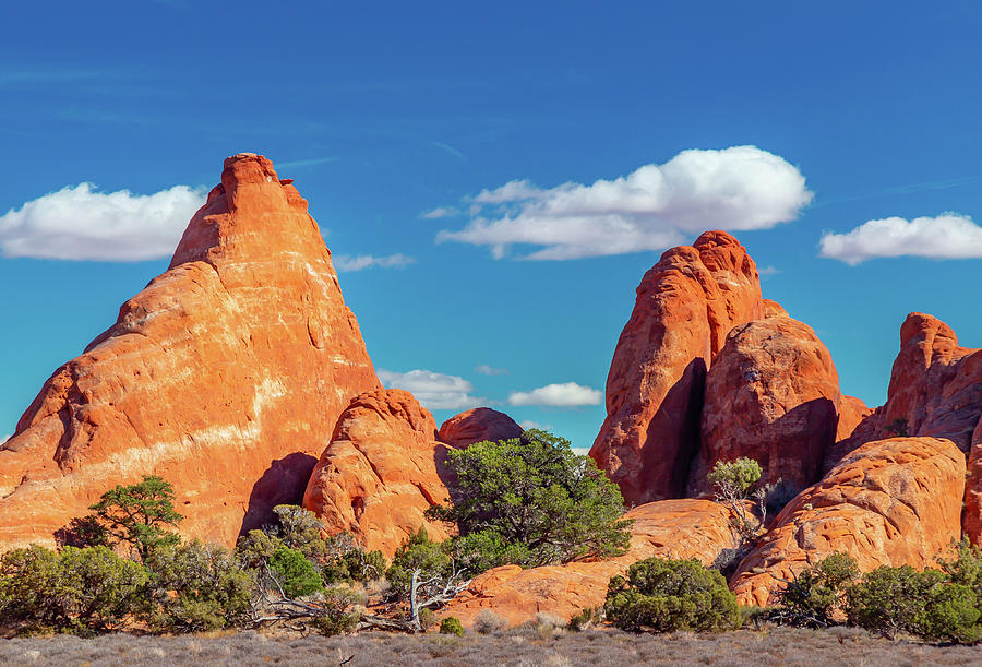Sandstone Fins at Arches Photograph by Marc Crumpler