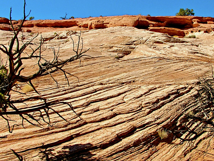Sandstone lines along Aztec Butte Trail, Island in the Sky, Canyonlands National Park, Utah Photograph by Ruth Hager
