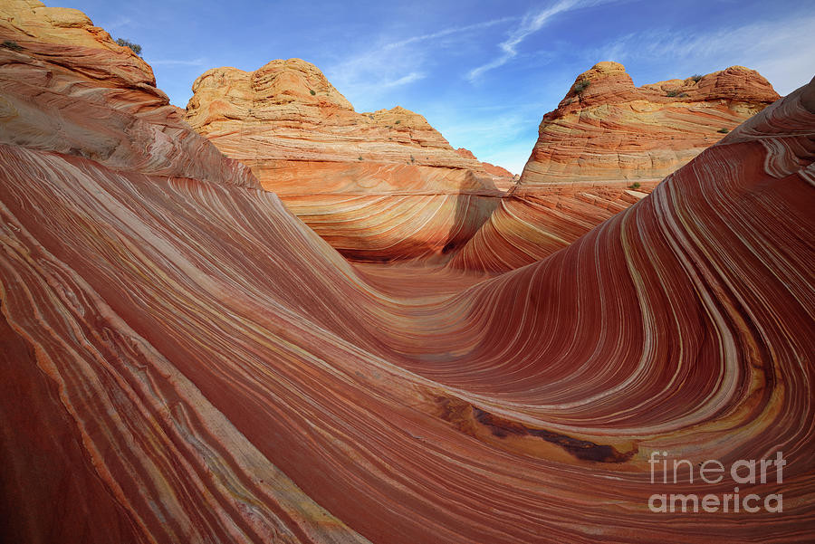 Sandstone Patterns of The Wave in Coyote Buttes North Photograph by Tom Schwabel