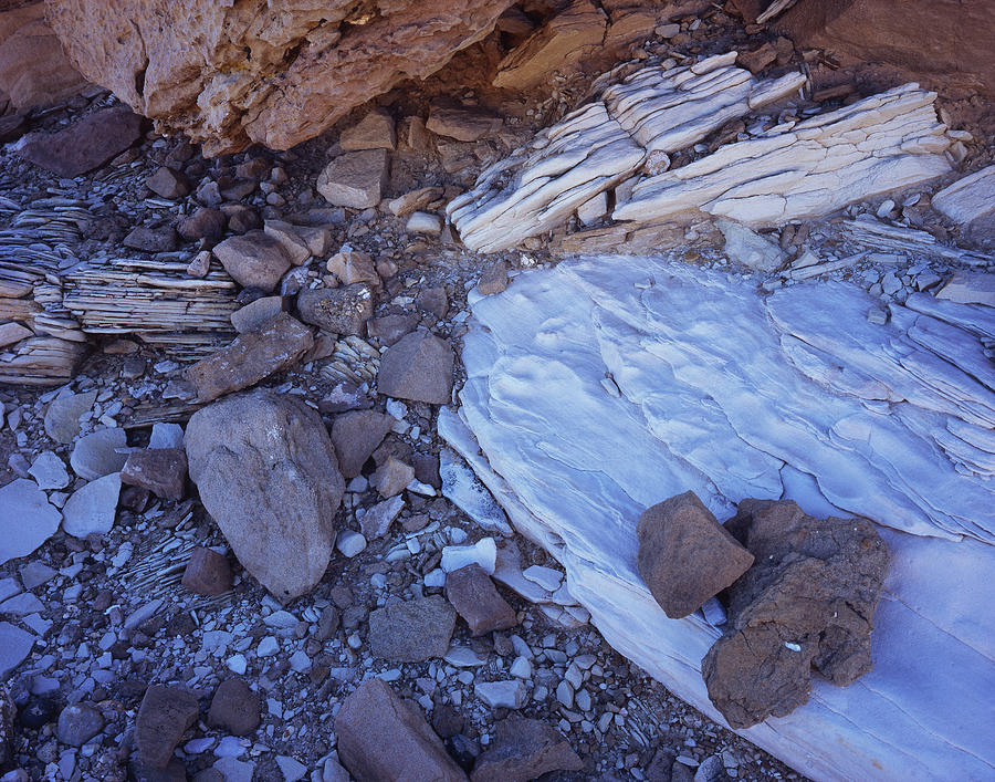 Sandstone Rock Detail Photograph by Tom Daniel