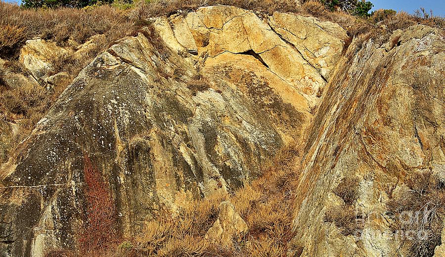Rock Face Photograph - Sandstone Rock Face, Point Lobos  by Martha Sherman