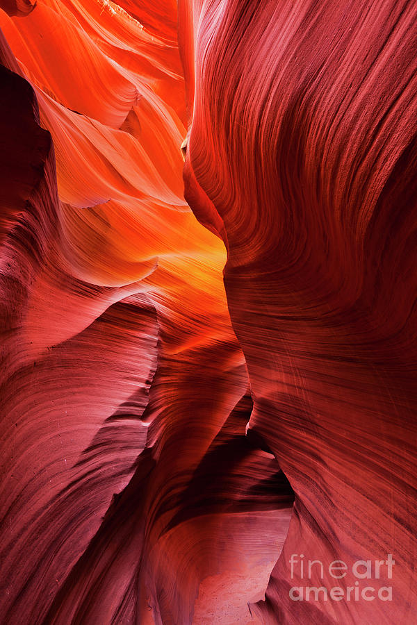 Sandstone Rock Formations in Antelope Canyon Photograph by Neale And Judith Clark