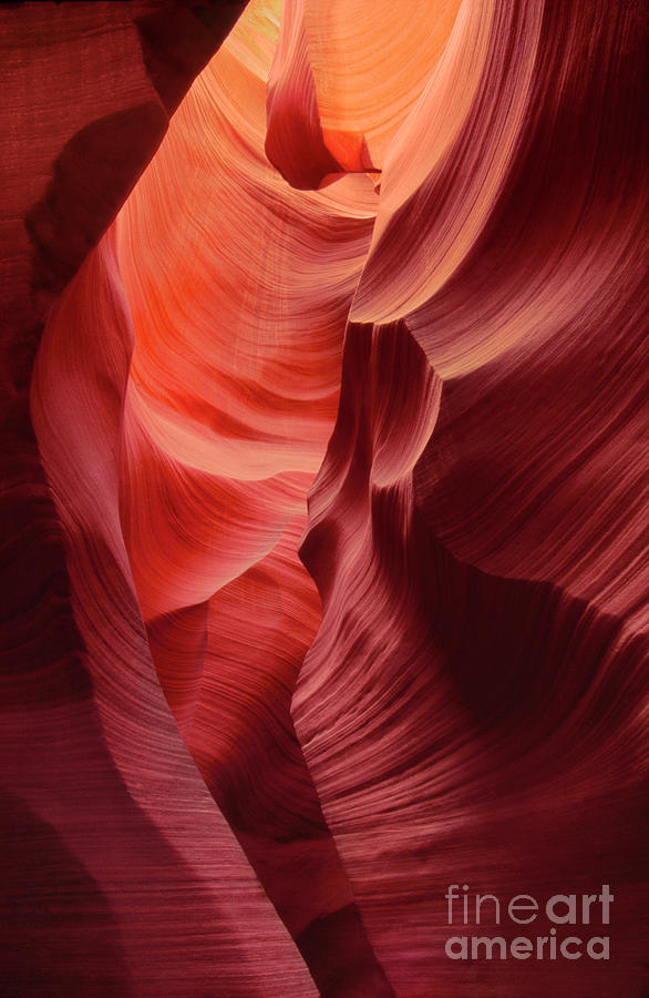 Sandstone Walls Lower Antelope Slot Canyon Arizona Photograph by Dave Welling