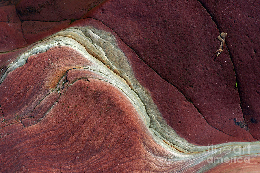 Sandstone wave Photograph by Robert Douglas