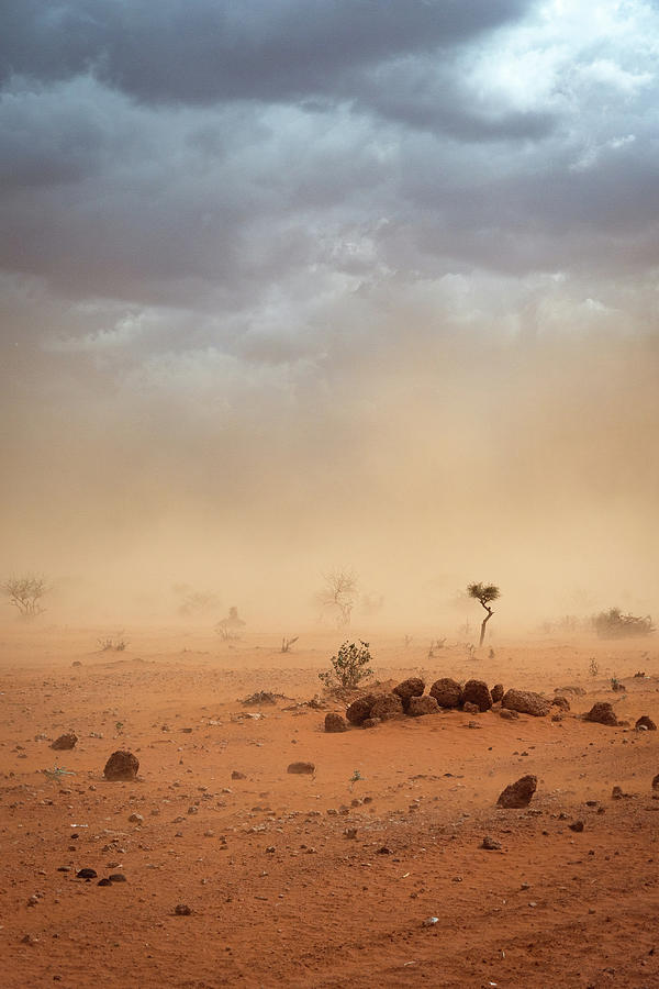 Sandstorm in African Desert Vertical Photograph by Jo Raphael