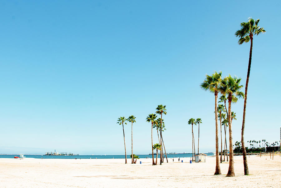 Sandy Beach Scene Photograph by Joseph Hollingsworth - Fine Art America