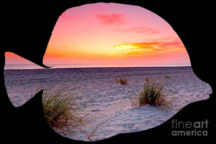 Sandy Beach Digital Art by Steven Parker
