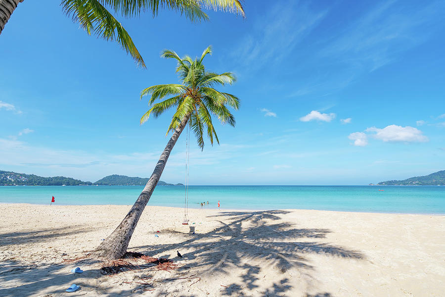 Sandy beach with palm trees on the island paradise Beautiful tro ...