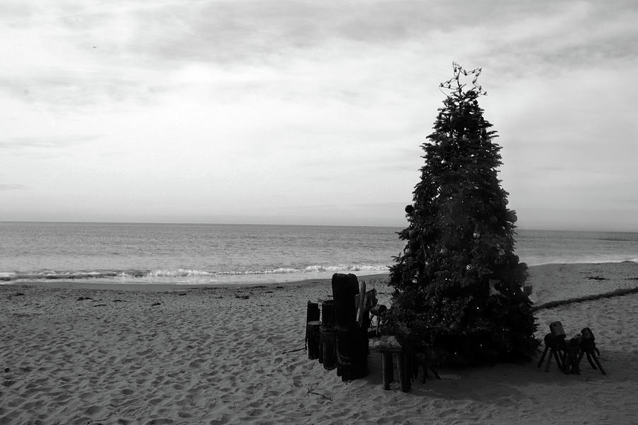 Sandy Christmas - BW Photograph by Ashley Polet - Fine Art America