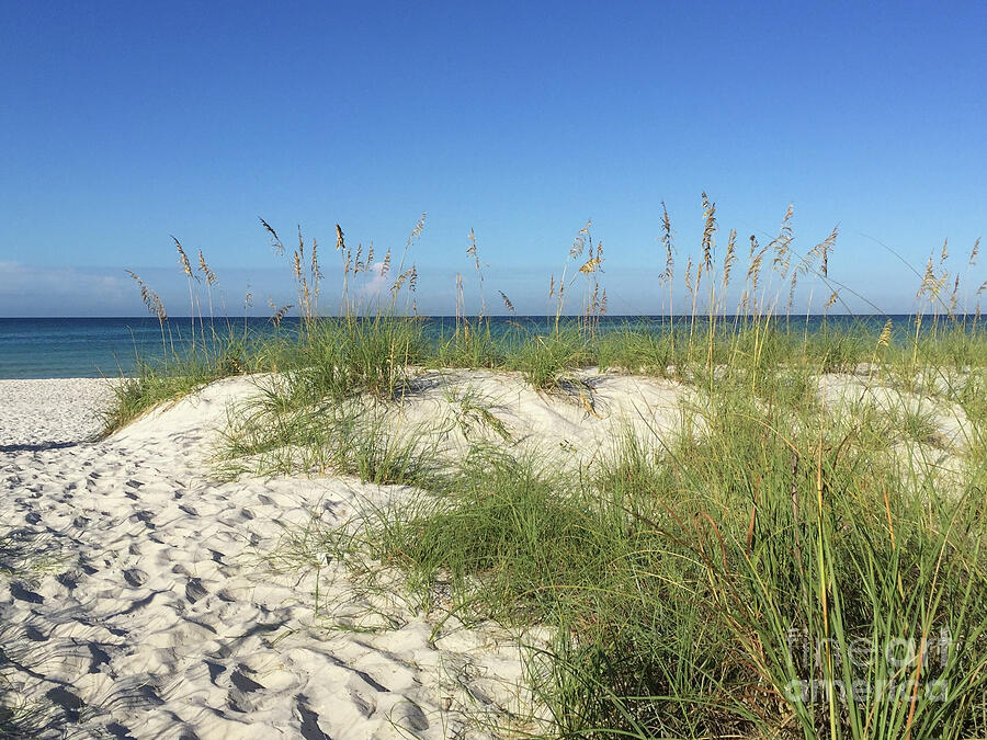 Sandy Dunes Photograph by Leslie Brashear Sandy Dunes Photograph by Leslie Brashear