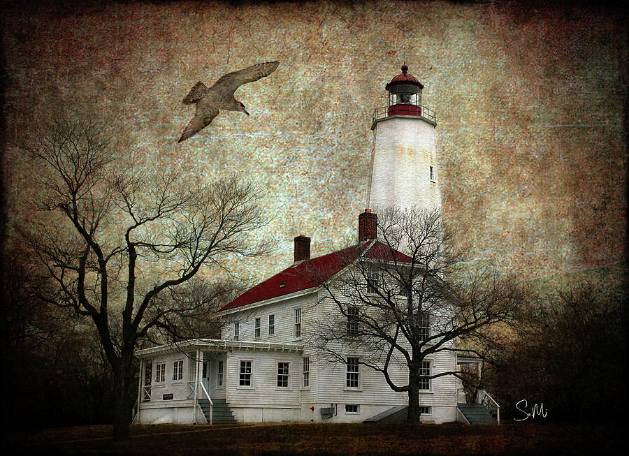 Sandy Hook, N.J. Digital Art by Sami Martin