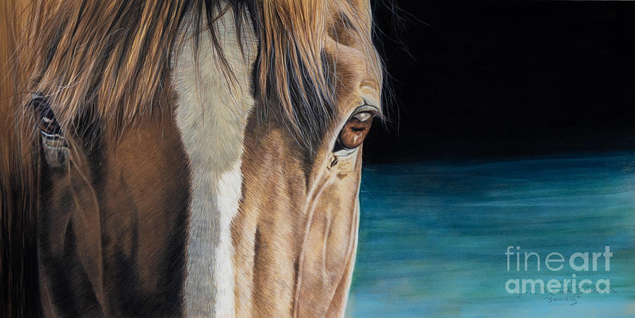 Horse Pastel - Sandy by Joni Beinborn