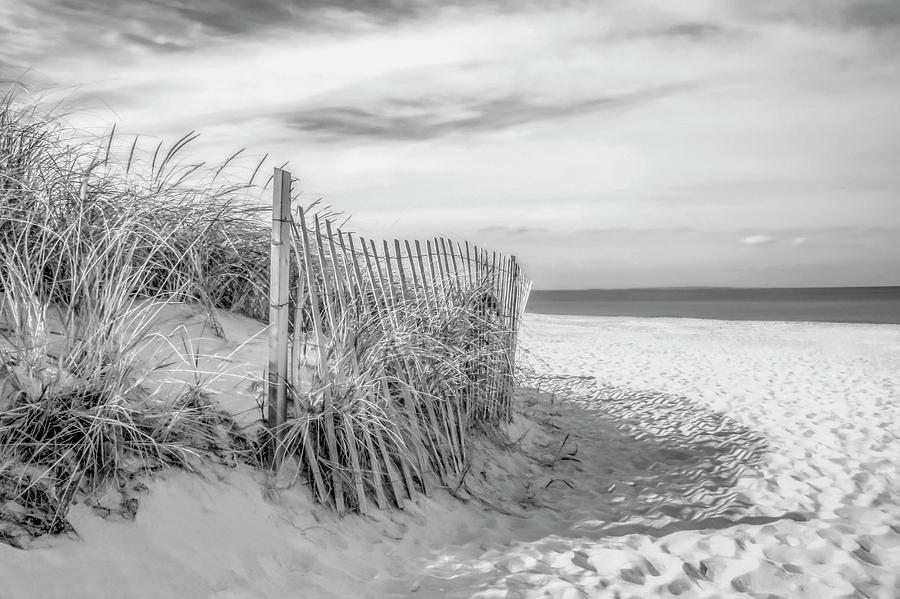 Sandy Neck Beach in Black and White Photograph by Brooke T Ryan
