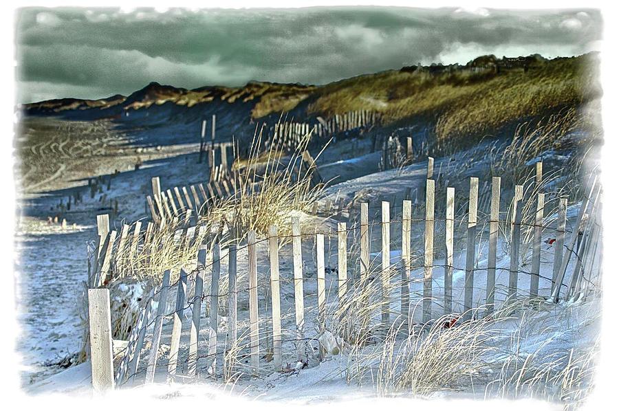 Sandy Neck Dune Fences Photograph by Constantine Gregory
