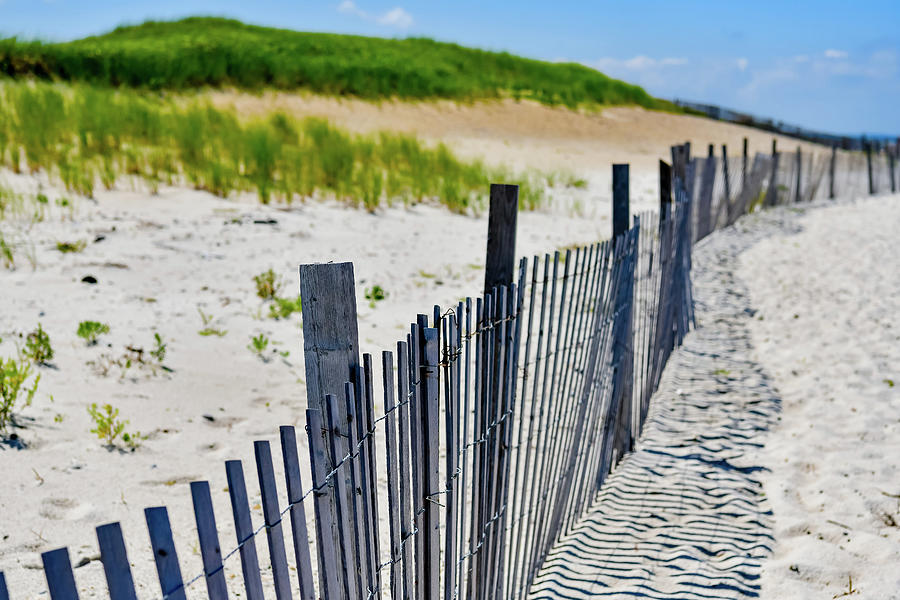 Sandy Neck Sand Dunes Photograph by Clyn Robinson - Fine Art America