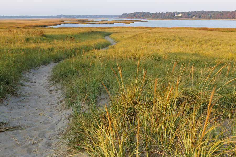 Sandy path through dune grass at Coast Guard Beach, Eastham, Cape Cod National Seashore, Massachusetts, USA Photograph by Danita Delimont