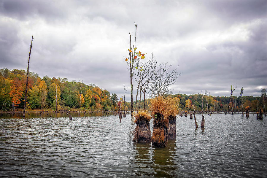 Sandy River Fall Photograph by Alan Raasch