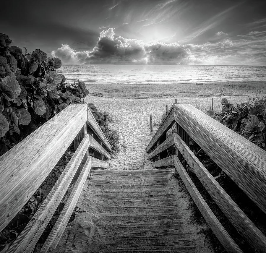 Sandy Steps onto the Beach Black and White Photograph by Debra and Dave Vanderlaan