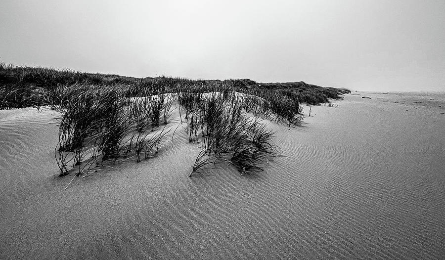 Sandy Waves Photograph by Diana McNeill - Fine Art America