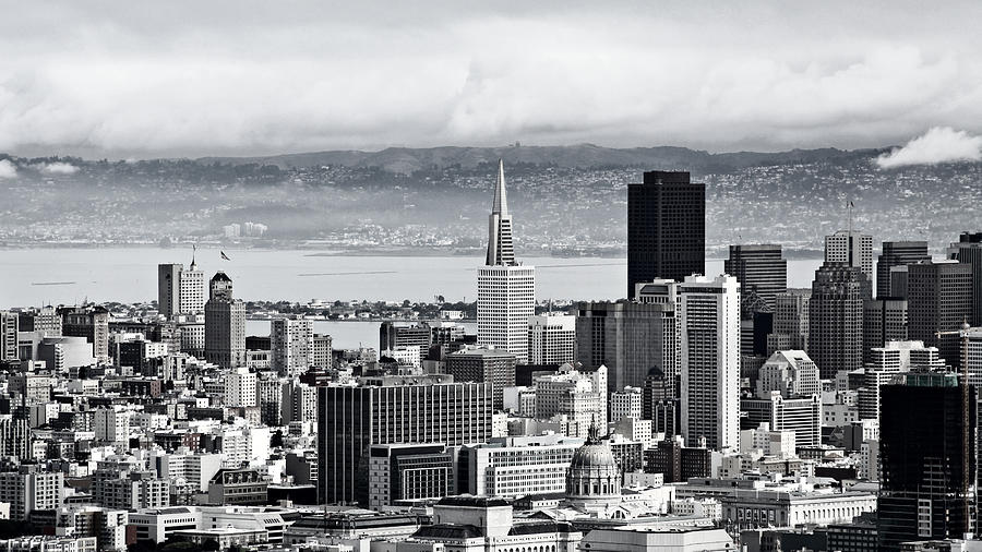 San Francisco Views Photograph by Carol Jorgensen
