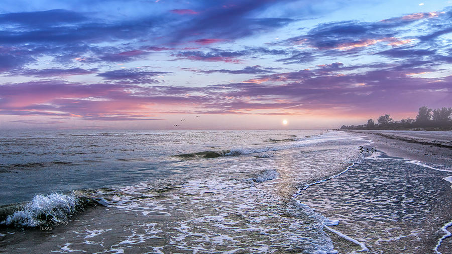Sanibel Beach Florida Photograph by G Lamar Yancy