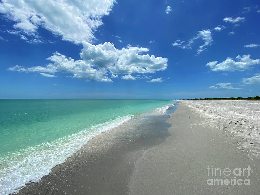 Sanibel Beach II Photograph by Clay Cofer