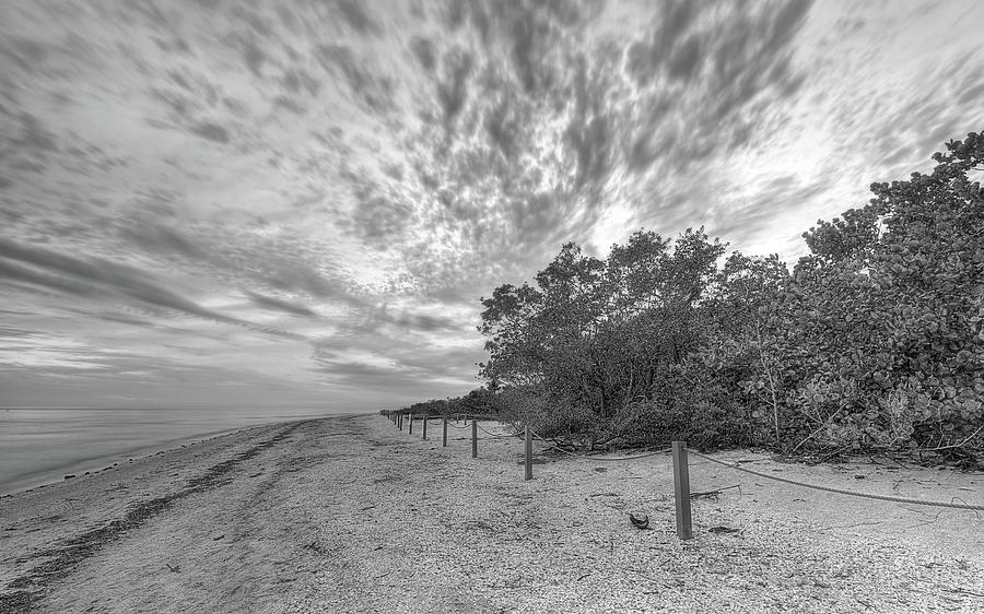 Sanibel Drama Black and white Photograph by JC Findley