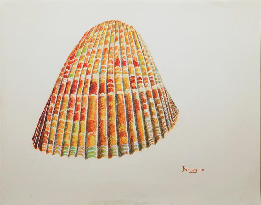 Sanibel Shell Painting by Dorsey Northrup