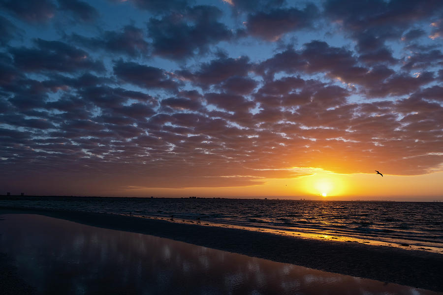 Sanibel Sunrise Perfection Photograph by Clint Buhler