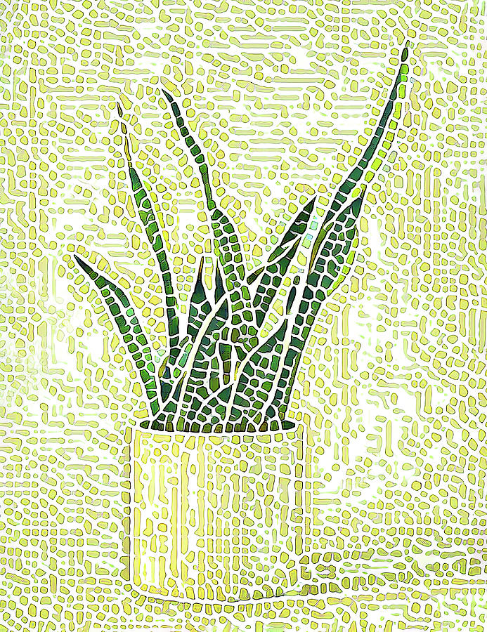 Sansevieria House Plant Mosaic Digital Art by Hillary Kladke