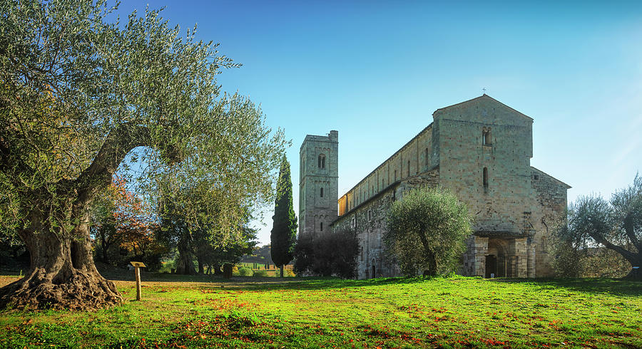 Sant Antimo abbey and olive tree. Montalcino. Tuscany Photograph by Stefano Orazzini