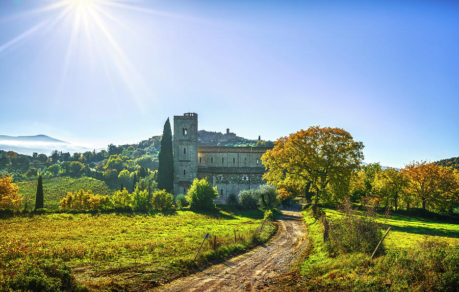 Sant Antimo Montalcino church and country road. Photograph by Stefano Orazzini