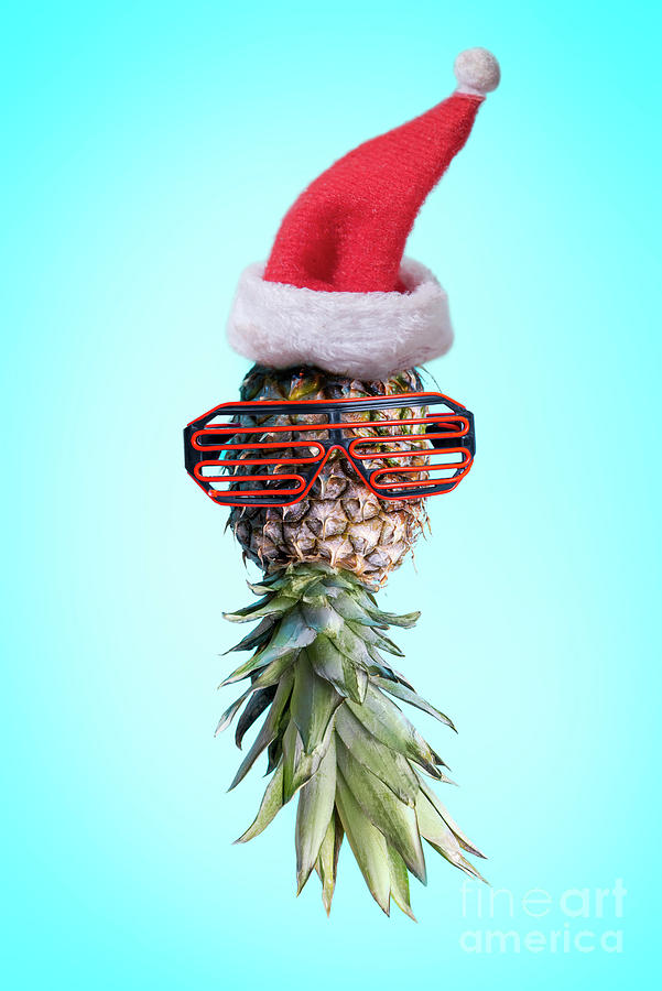 Santa ananas. Funky pop art minimal christmas in summer concept. Photograph by Jelena Jovanovic