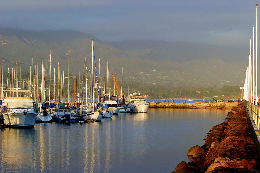 Santa Barbara Harbor Photograph by Barbara Siegel