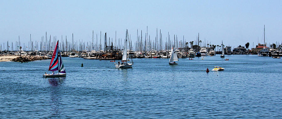 Santa Barbara Harbor Photograph by Judy Vincent