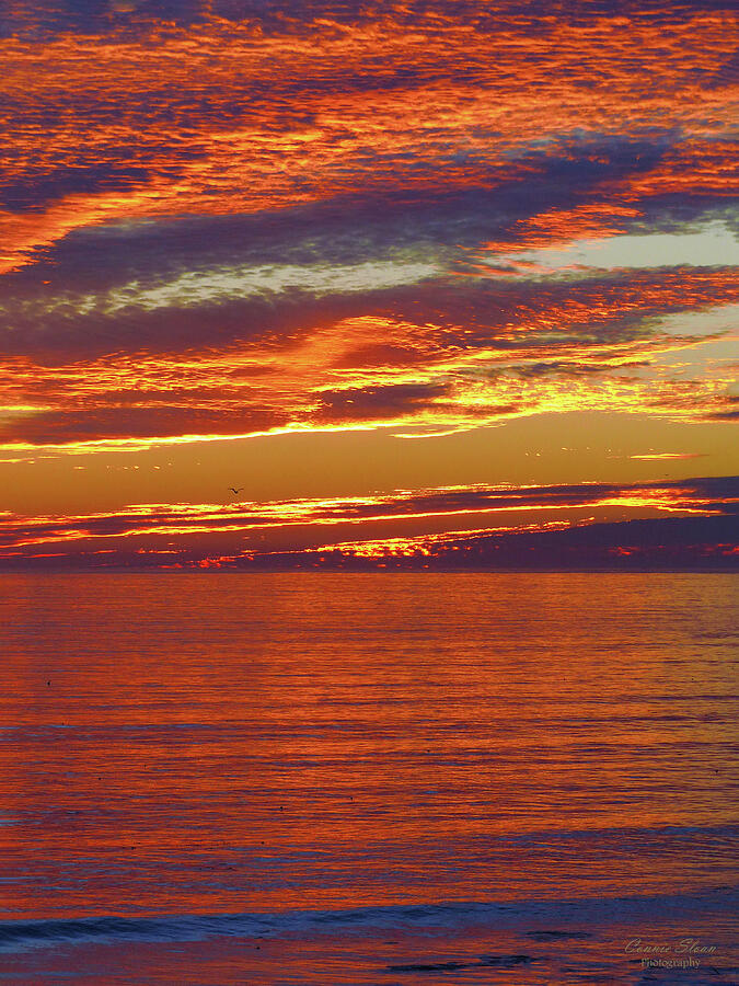 Santa Barbara Sunset Vertical Photograph by Connie Sloan - Fine Art America