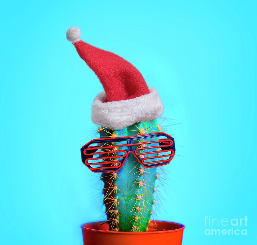 Santa cactus. Funky pop art minimal christmas in summer concept. Photograph by Jelena Jovanovic