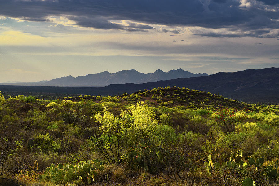 Santa Catalina Mountains Golden Hour, Tucson AZ Photograph by Chance Kafka